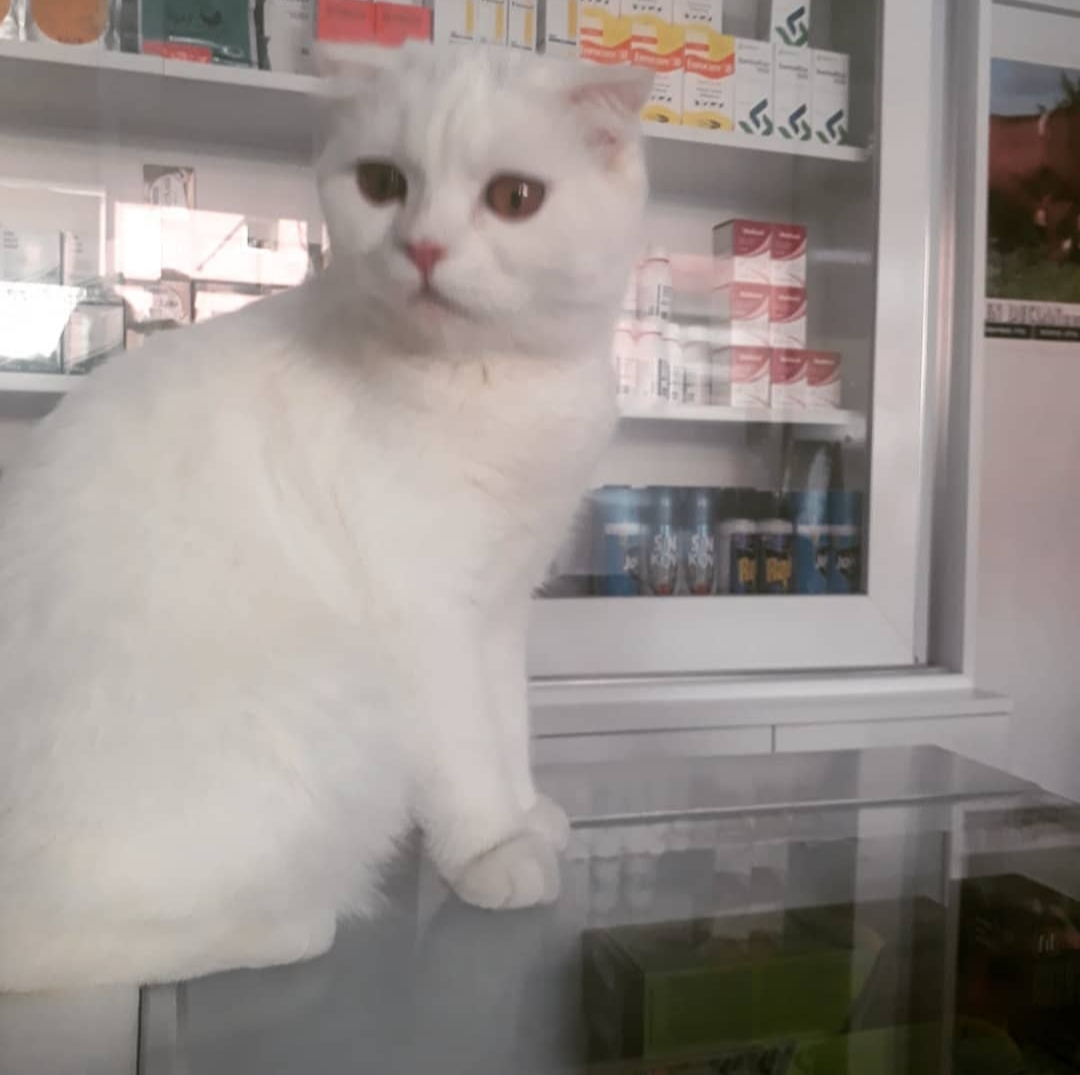 Silopi Zeki Veteriner Kliniği